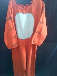 Kids Costumes to Hire - Tigger suit